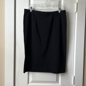 Ann Taylor Dress Skirt